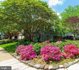1201 Dartmouth Rd, Alexandria, VA 22314