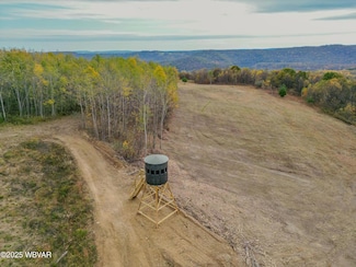 PARCEL 017 Lumber City Hwy, Curwensville, PA 16833