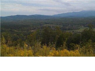 183 Bob White Dr, Ocoee, TN 37361