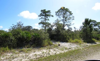 1150 Egret St, Lake Placid, FL 33852