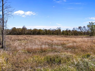 TBD 00 NE Us Highway 301, Hawthorne, FL 32640