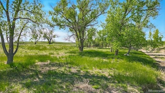 0 Parcel C W County Road 105, Ramah, CO 80832