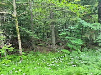 M11 L38 Essex St, Dover-Foxcroft, ME 04426