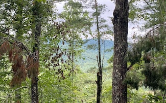 Lot 55 Laurel Woods, Suches, GA 30572