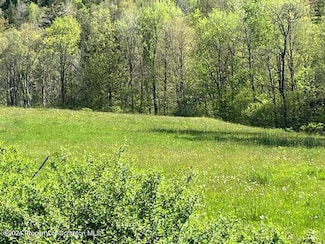 0 Greenwood Rd, Dimock Township, PA 18801