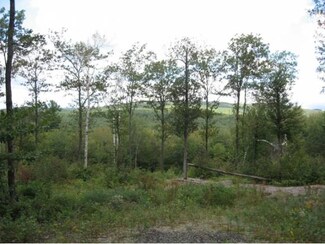 0 Dublin Rd Unit 4316413, Harrisville, NH 03450