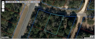 00 NE 5th St, Williston, FL 32696
