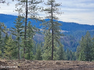 2252 E Badger Rd, Harrison, ID 83833