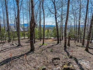 96 Split Rock Trail Unit 5, Arden, NC 28704