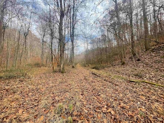 TBD Sand Fork Rd, Walkersville, WV 26447