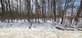001 Driftwood Dr S, Deerfield Township, MI 48430