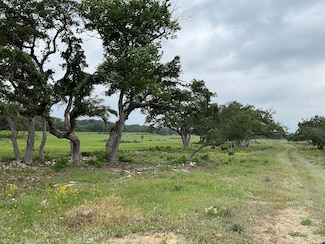 658 Windmill Ridge Dr, Blanco, TX 78606