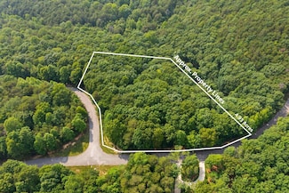 0 Shivas Crest Unit 1514359, Rising Fawn, GA 30738