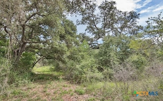 Tract 7 Prairie St, Edna, TX 77957