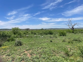 0 Tbd Cr 343, Merkel, TX 79536