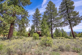 12447 Settlers Ln, Truckee, CA 96161