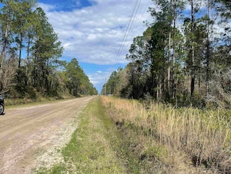 10730 Yeager Ave, Hastings, FL 32145