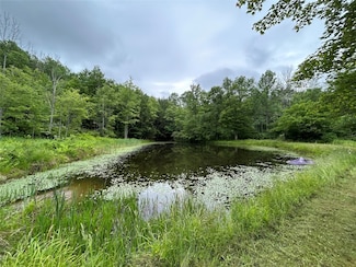 00 Gay Hill, Spencer, NY 14883
