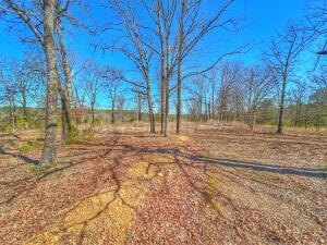 320 Hunter's Rd, Center Ridge, AR 72027