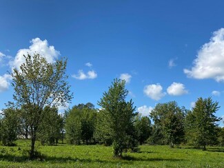 Parcel A W Marquette Woods Rd, Shoreham, MI 49085