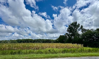 TBD Pearl Rd, Galivants Ferry, SC 29544