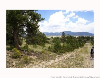 365 Cree Trail, Hartsel, CO 80449