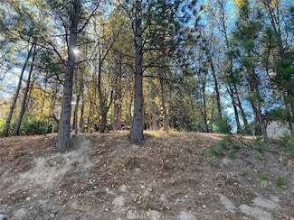 82 Pixie Dr, Running Springs, CA 92382