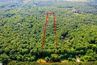 V/L N Wheeler Lake Rd NE, Mancelona, MI 49659