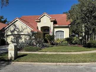 18928 Place Marquette, Lutz, FL 33558