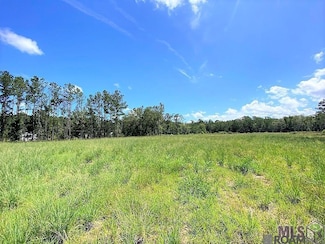 27554 and 27538 S Frost Rd, Livingston, LA 70754