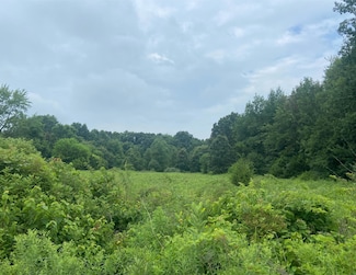 52700 Parkville Rd, Three Rivers, MI 49093