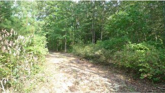 L: 76 0 Jericho Rd, Quinton, NJ 08079