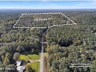 0 Union Church Rd Unit 4129958, Meadville, MS 39653