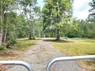 1760 Berrybush St, Bunnell, FL 32110