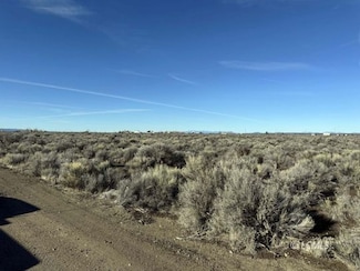 0 W Thorn Ln Unit 3007445, Christmasvalley, OR 97641