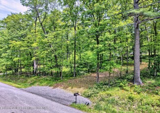 268 Potic Mountain Rd, Catskill, NY 12414