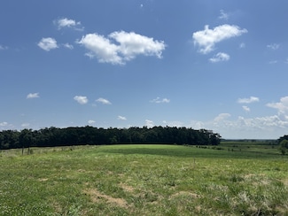 0 Goose Pond Rd, Manchester, TN 37355