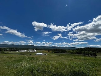 0 Turkey Knob Rd Unit 664997, Quicksburg, VA 22847