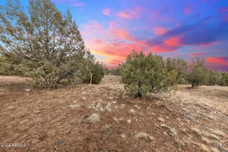 5579 W Forest Service Rd Unit 2, Ash Fork, AZ 86320