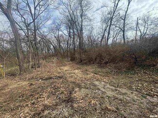 0 W Lonsdale Rd, Peoria, IL 61604