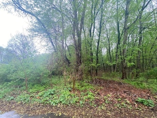 Lot 3 Rivercrest Dr Unit 3, Warsaw, IN 46580