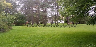 0 Simons Unit 50163791, Coleman, MI 48618