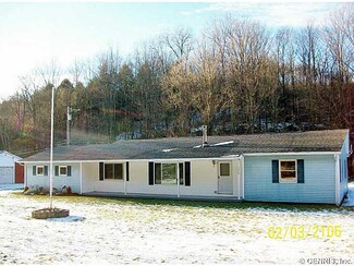 4207 Shovel Hollow Rd, Andover, NY 14806