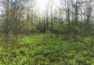 000 E Jackpine Loop Unit Lot 61, Mio, MI 48647