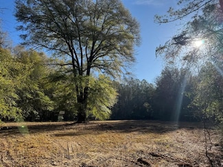 0 Lato Rd, Seale, AL 36875