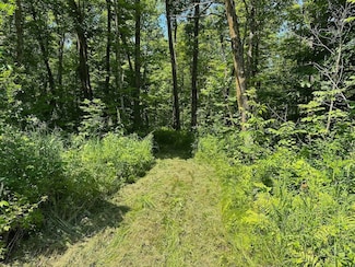 Tbd Merlin Rd, Hillman, MN 56338