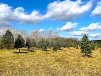 0 Vl Hunts Corners Rd Unit LotWP001 22103910, Akron, NY 14001