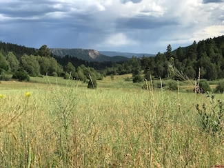 273 Crestone Place, Pagosa Springs, CO 81147