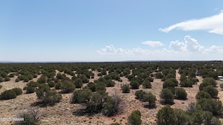 3981 Apache Rd, Snowflake, AZ 85937