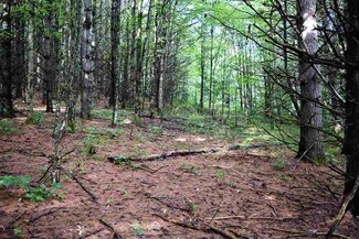 Lot 3 Dalton Rd, Dalton, NH 03598